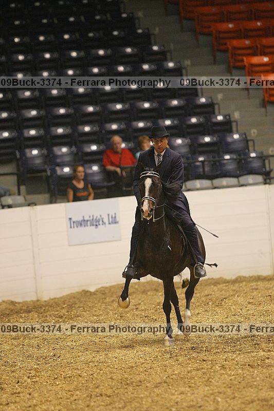 Proof 09buck-3374