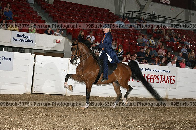 Proof 09buck-3375