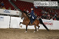 09buck-3375 proof