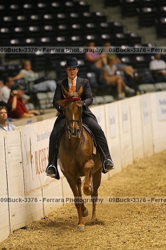 Proof 09buck-3376