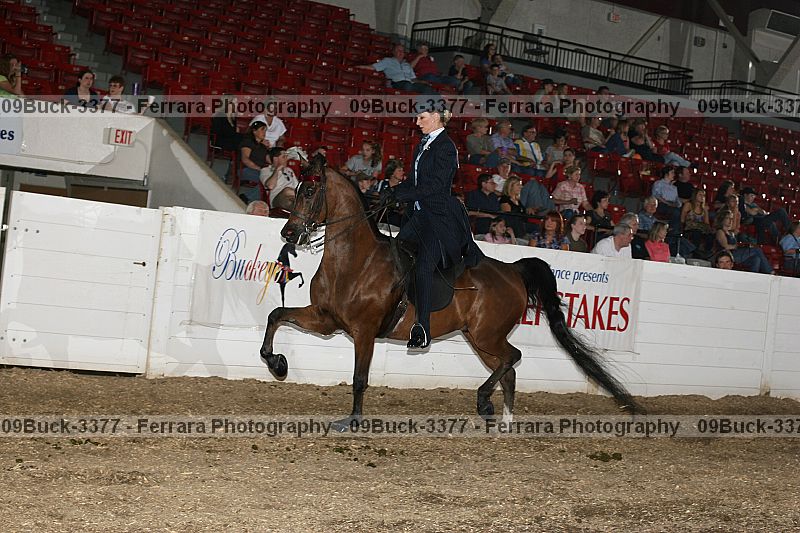 Proof 09buck-3377