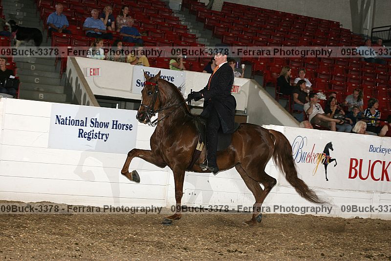 Proof 09buck-3378