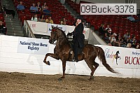 09buck-3378 proof
