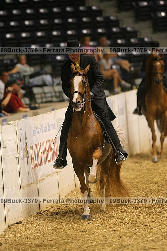 Proof 09buck-3379