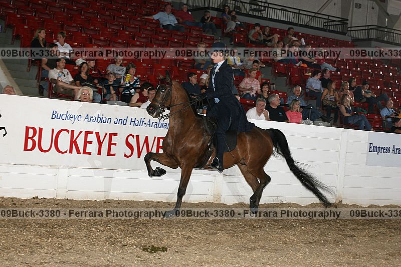Proof 09buck-3380