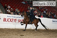 09buck-3380 proof