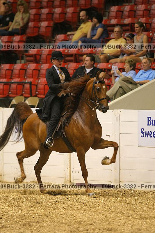 Proof 09buck-3382
