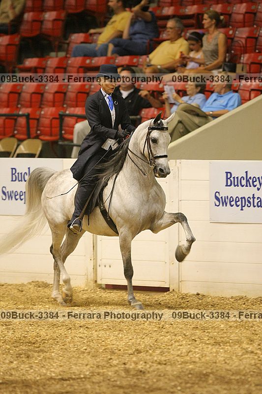 Proof 09buck-3384