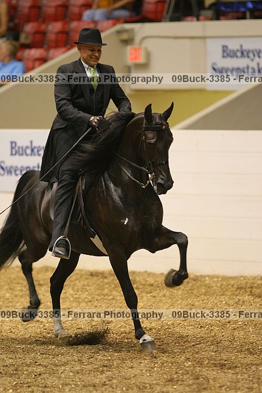 Proof 09buck-3385
