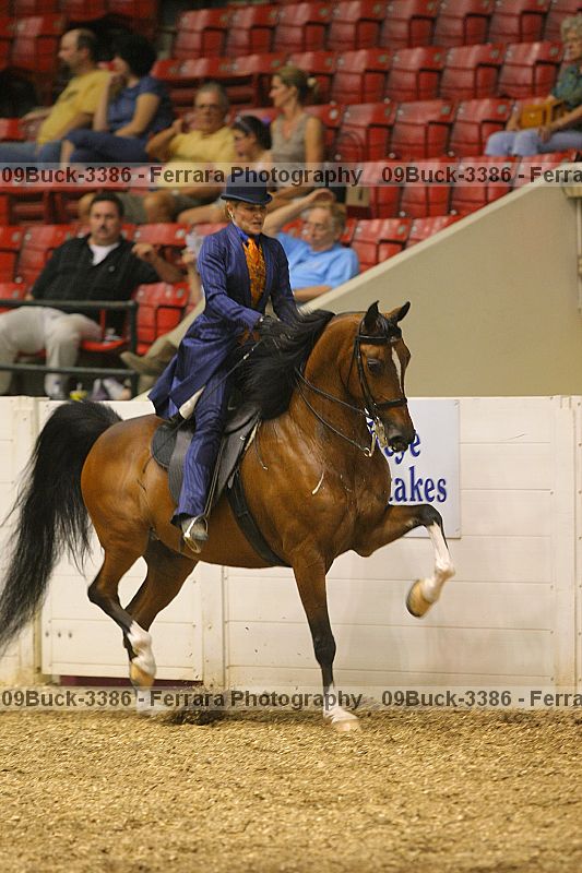 Proof 09buck-3386