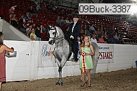 09buck-3387 proof