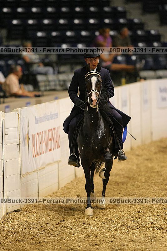 Proof 09buck-3391