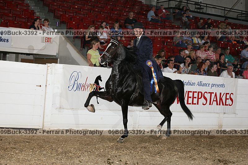 Proof 09buck-3392