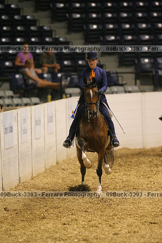 Proof 09buck-3393