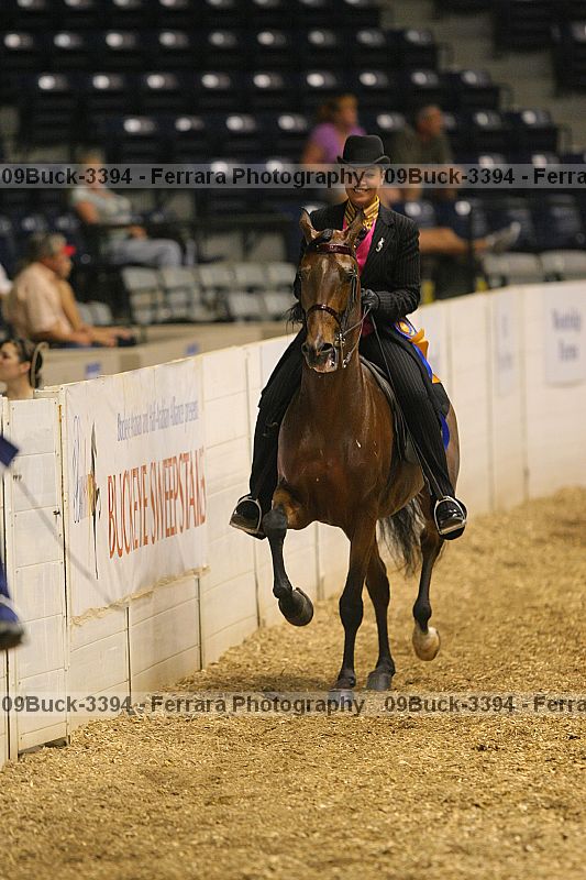 Proof 09buck-3394