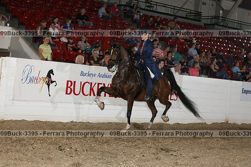 Proof 09buck-3395