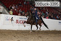 09buck-3395 proof