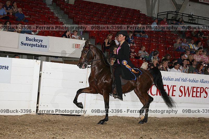 Proof 09buck-3396