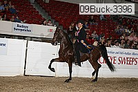 09buck-3396 proof