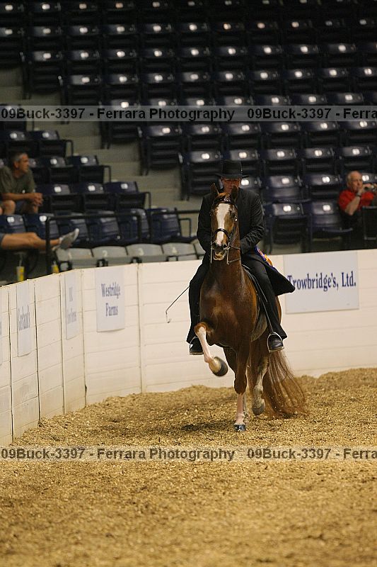 Proof 09buck-3397