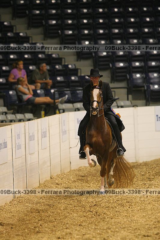 Proof 09buck-3398