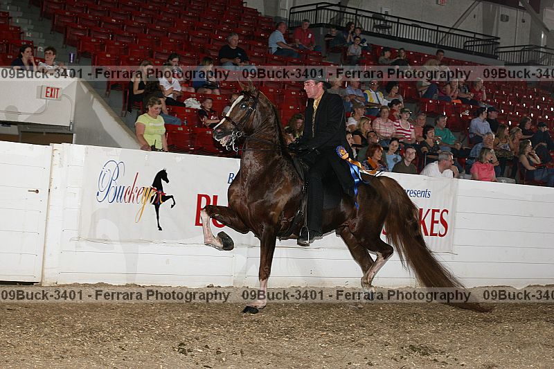 Proof 09buck-3401