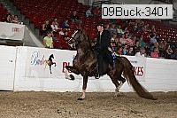 09buck-3401 proof