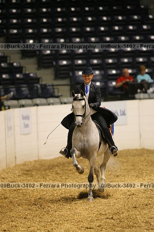 Proof 09buck-3402