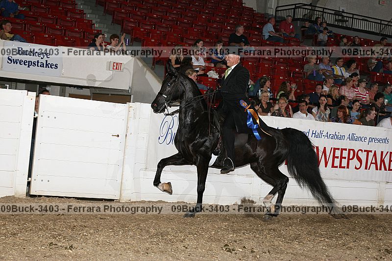 Proof 09buck-3403