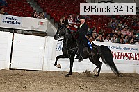 09buck-3403 proof