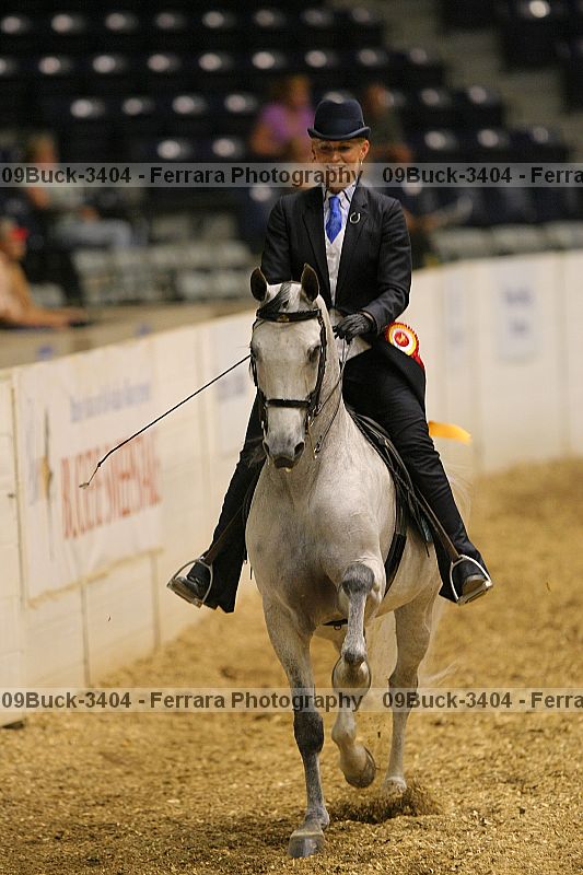 Proof 09buck-3404