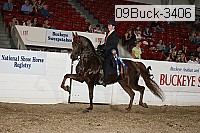 09buck-3406 proof