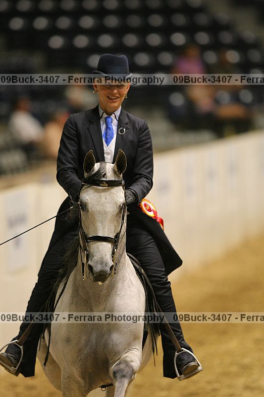 Proof 09buck-3407