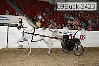 09buck-3423 proof