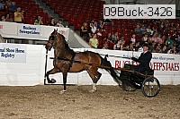 09buck-3426 proof