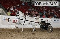 09buck-3430 proof