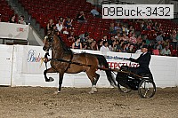09buck-3432 proof