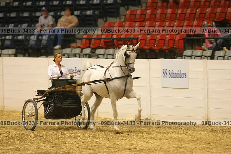 Proof 09buck-3433