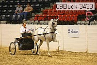 09buck-3433 proof