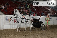 09buck-3434 proof