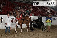 09buck-3435 proof