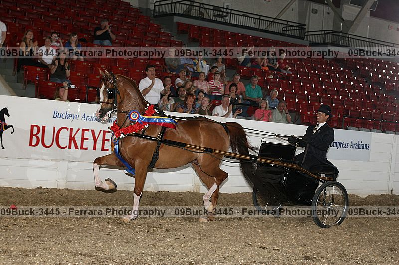 Proof 09buck-3445