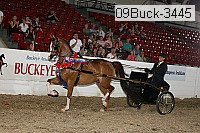 09buck-3445 proof