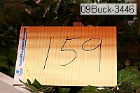 09buck-3446 proof