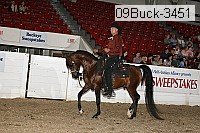 09buck-3451 proof