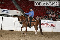 09buck-3452 proof
