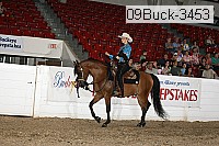 09buck-3453 proof