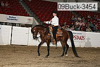 09buck-3454 proof
