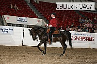 09buck-3457 proof