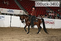 09buck-3460 proof